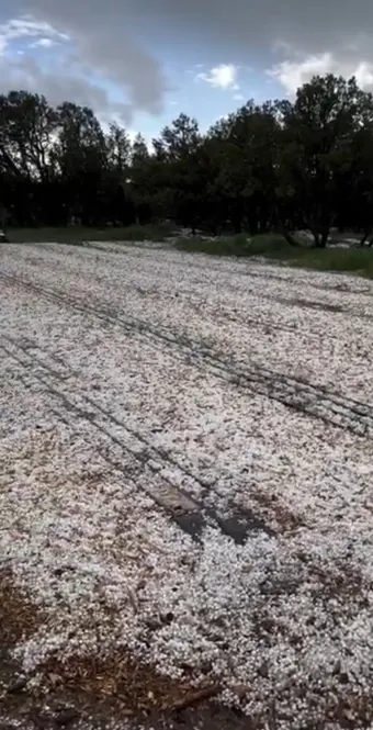 Hail covering the field